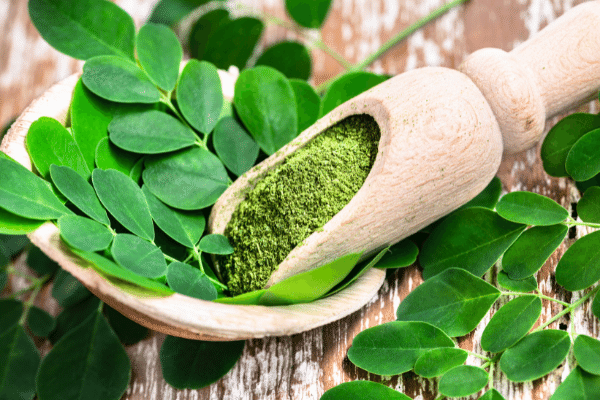organic moringa powder benefits